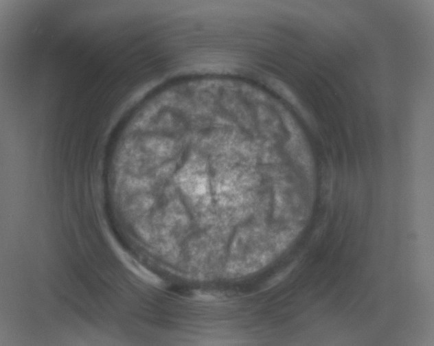 X0000081320677200702082137