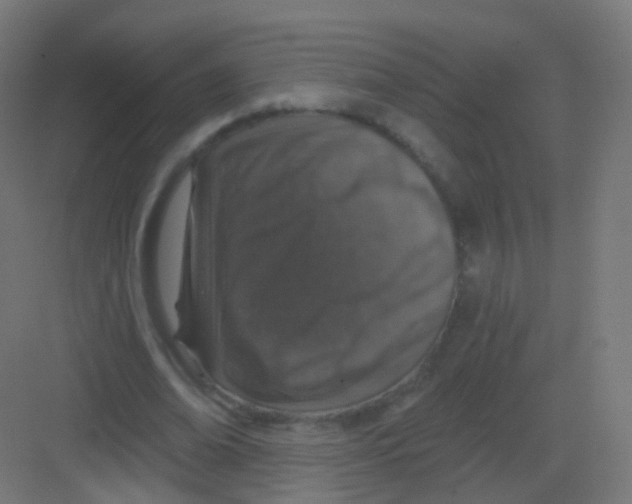 X0000081320678200702082137