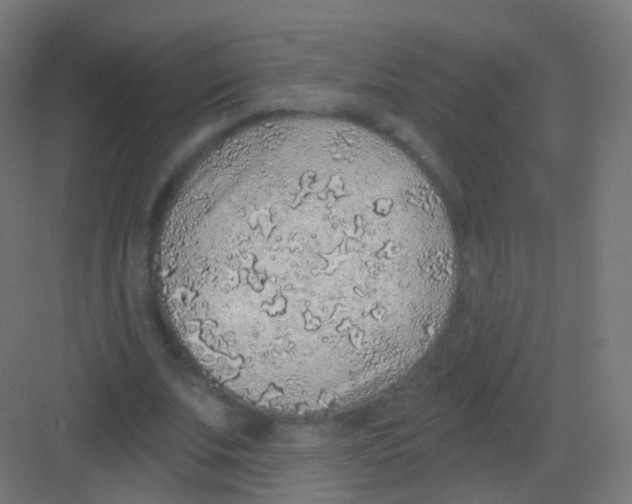 X0000081320679200702082137