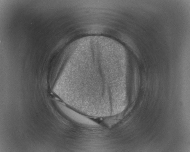 X0000081320681200702082137