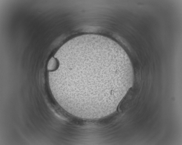 X0000081320682200702082137