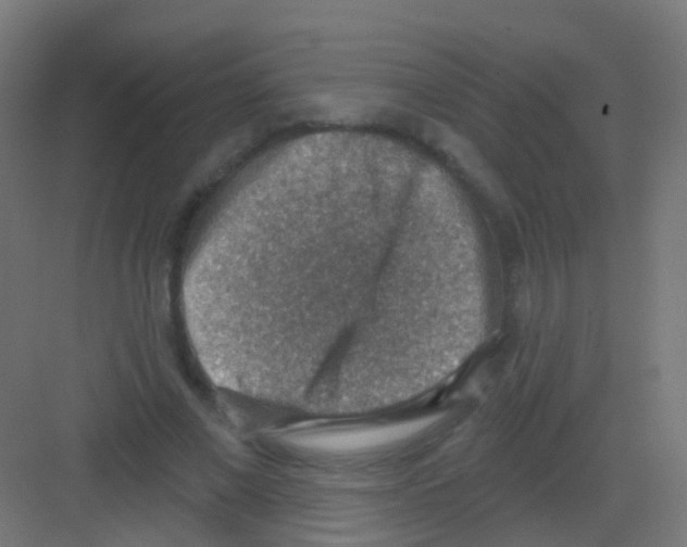 X0000081320685200702082136