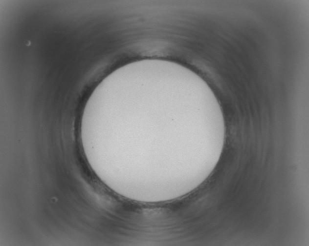 X0000081320686200702082136