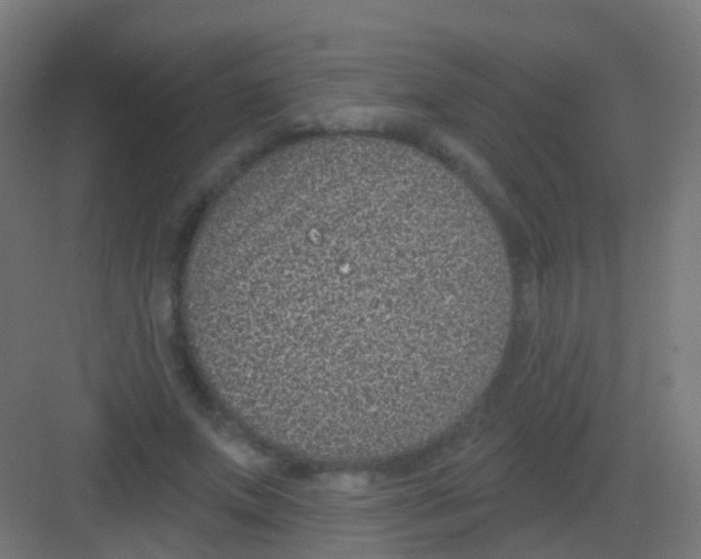 X0000081320687200702082136