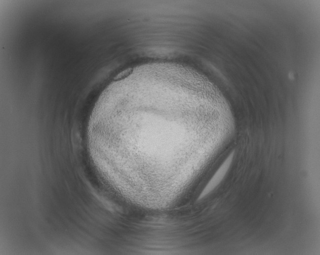 X0000081320688200702082136