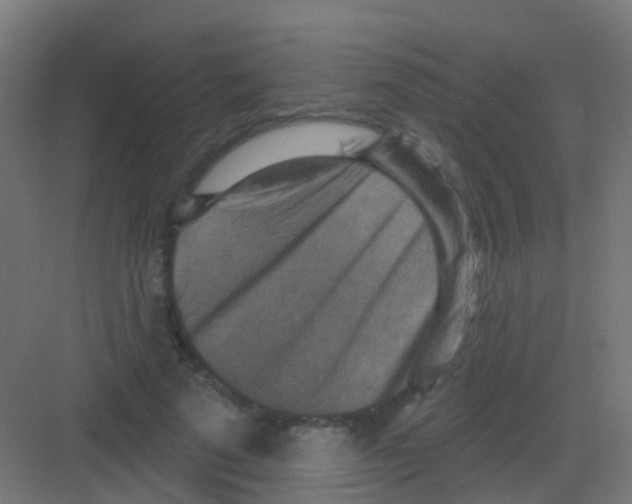 X0000081320689200702082136