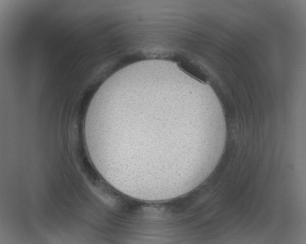 X0000081320690200702082136