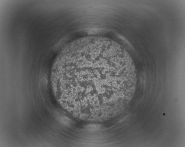 X0000081320691200702082136