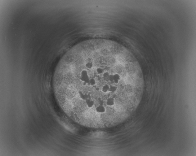 X0000081320695200702082136