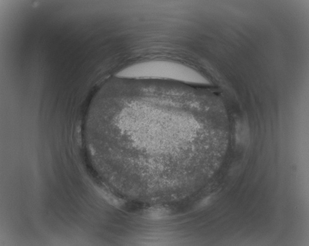 X0000081320696200702082136