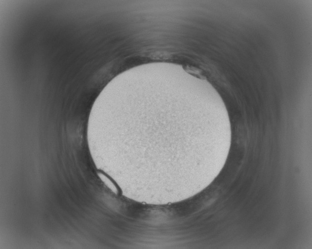 X0000081320697200702082136