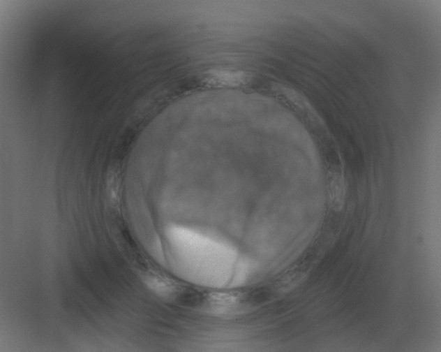 X0000081320701200702082136