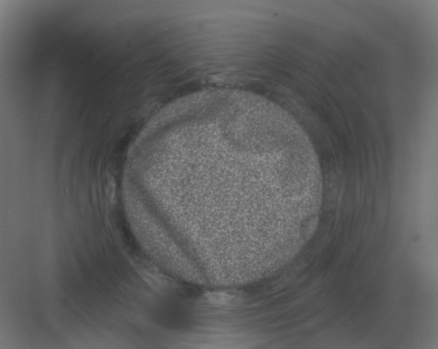 X0000081320703200702082136