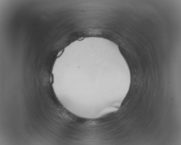 X0000081320704200702082136