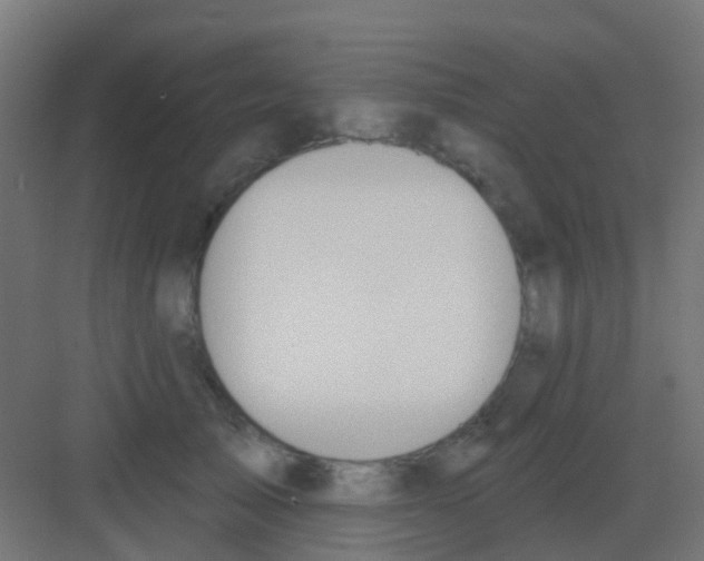 X0000081320705200702082136