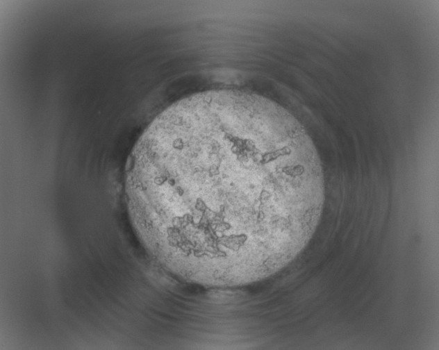 X0000081320707200702082136