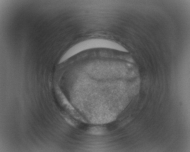 X0000081320708200702082136