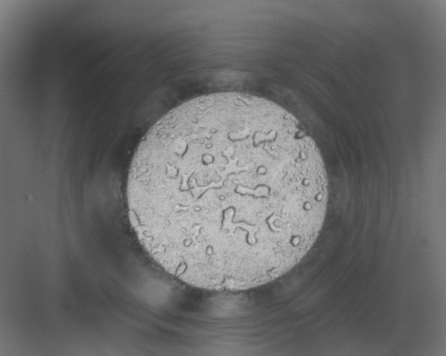 X0000081320711200702082136