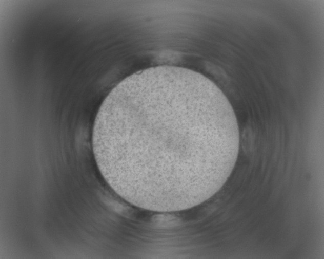 X0000081320714200702082136