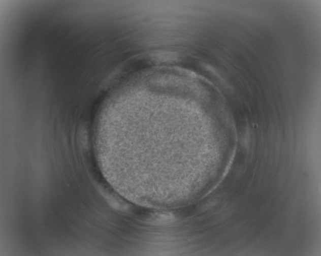 X0000081320715200702082136