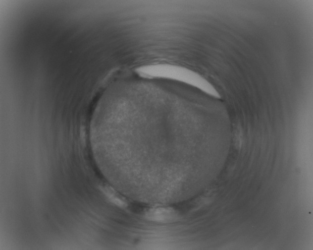 X0000081320716200702082136