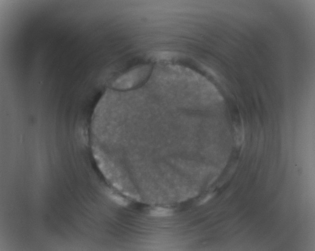 X0000081320718200702082136