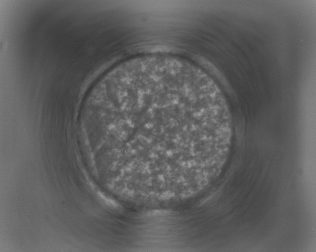 X0000081320721200702082135