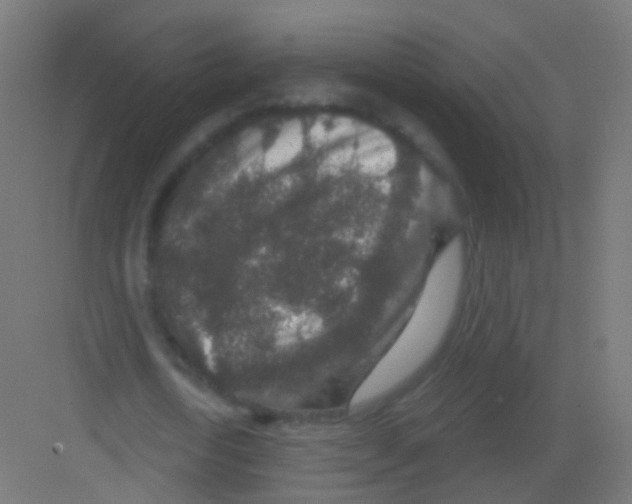 X0000081320722200702082135