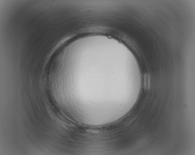 X0000081320723200702082135