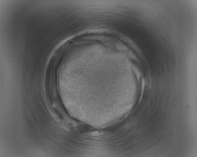 X0000081320724200702082135