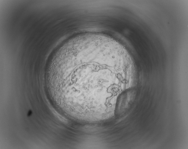 X0000081320725200702082135