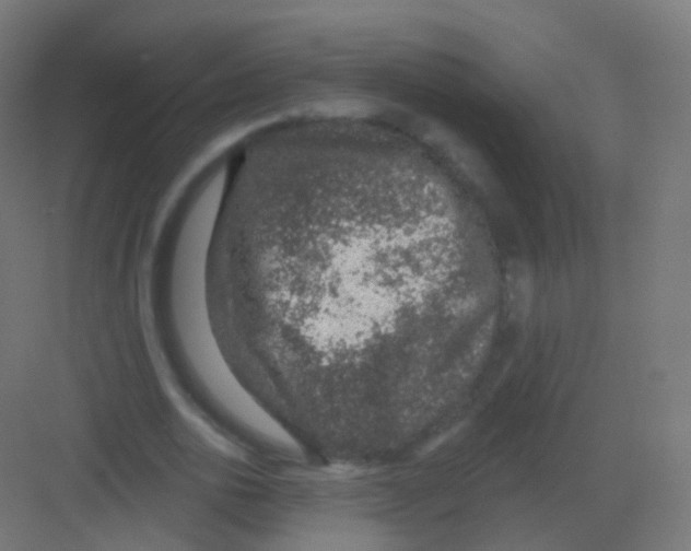 X0000081320726200702082135