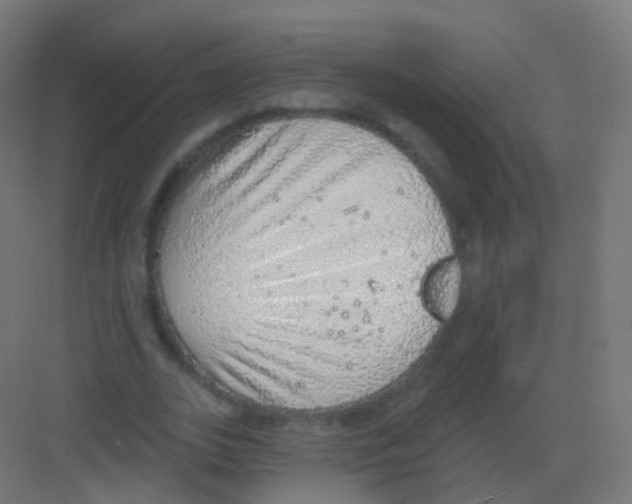 X0000081320727200702082135