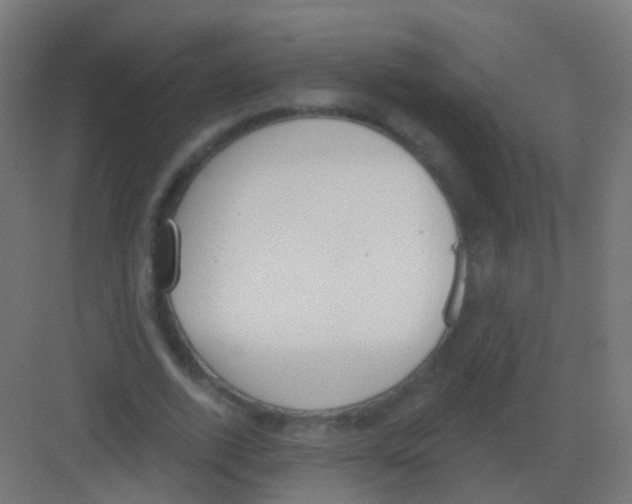 X0000081320728200702082135