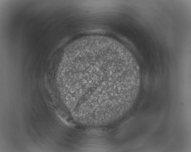 X0000081320729200702082135