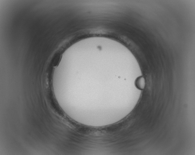 X0000081320731200702082135