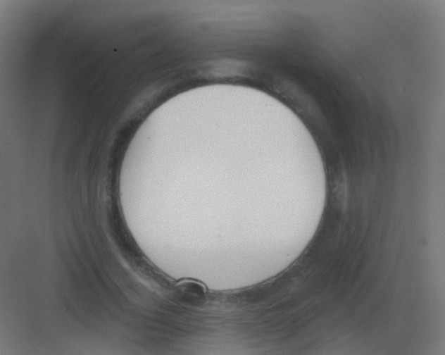 X0000081320732200702082135