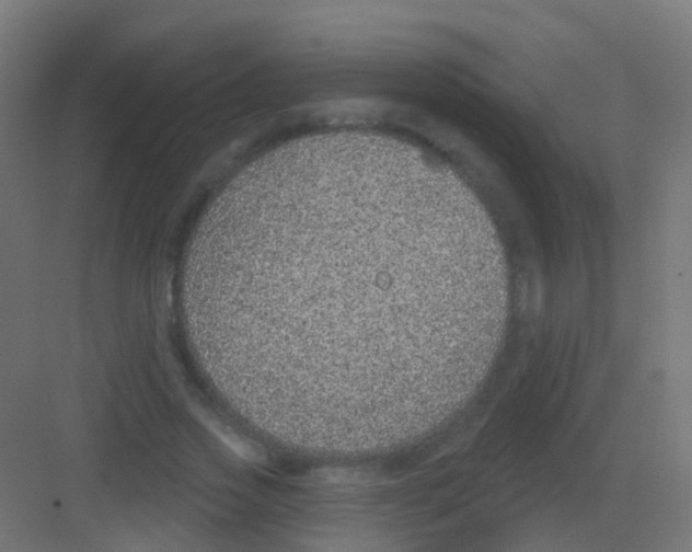 X0000081320733200702082135