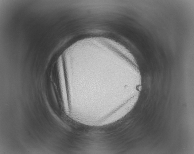 X0000081320734200702082135