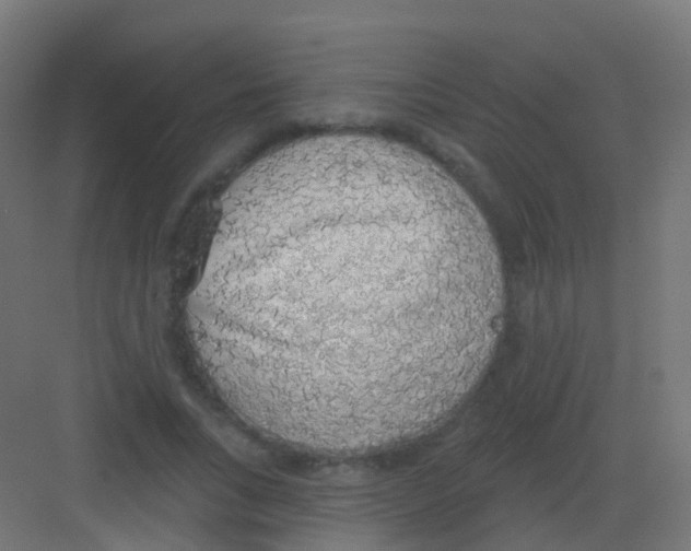 X0000081320735200702082135