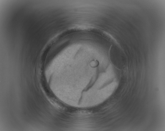 X0000081320736200702082135