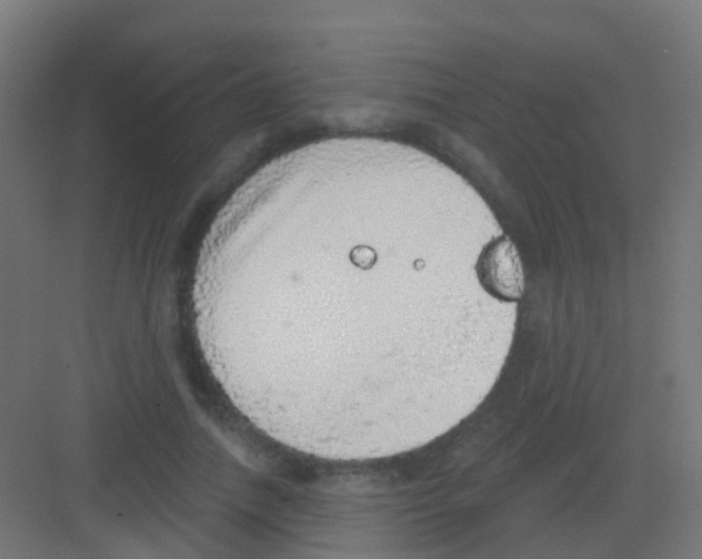 X0000081320738200702082135