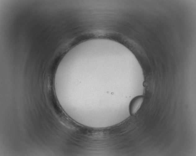 X0000081320740200702082135