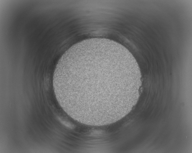 X0000081320741200702082135