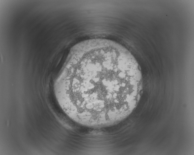 X0000081320742200702082135