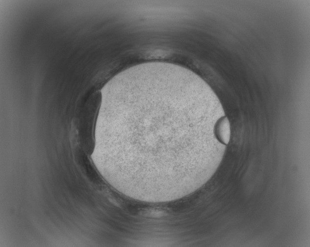 X0000081320743200702082135