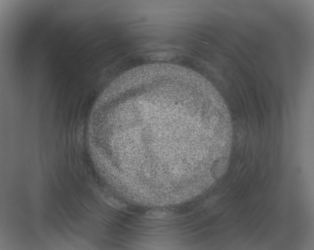 X0000081320745200702082135