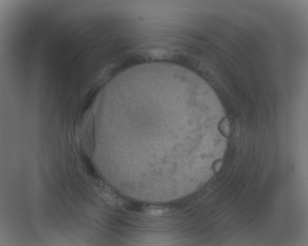 X0000081320746200702082136