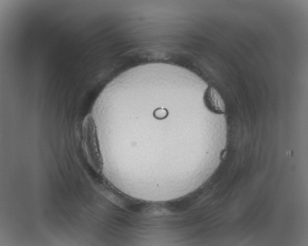 X0000081320747200702082136