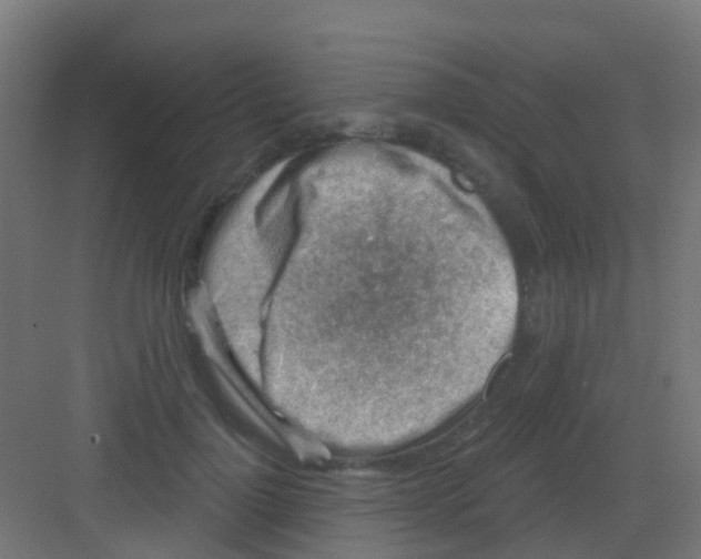 X0000081320748200702082136